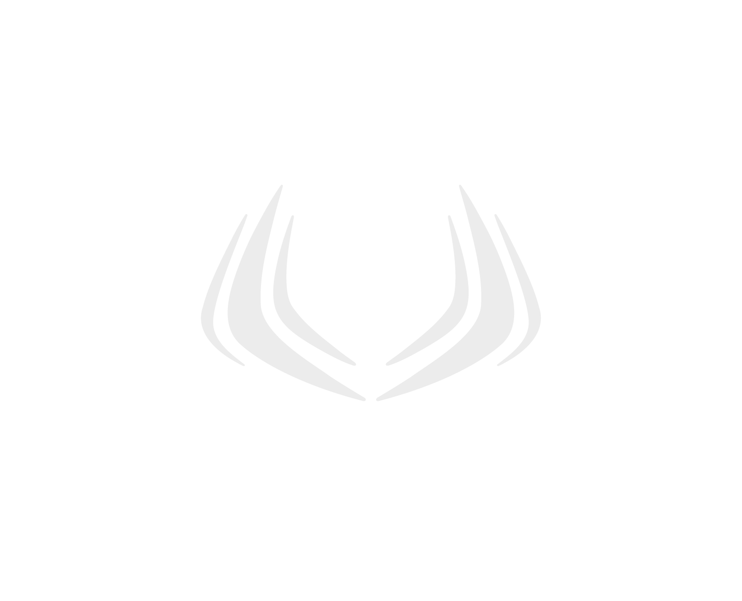 inversionspace.com